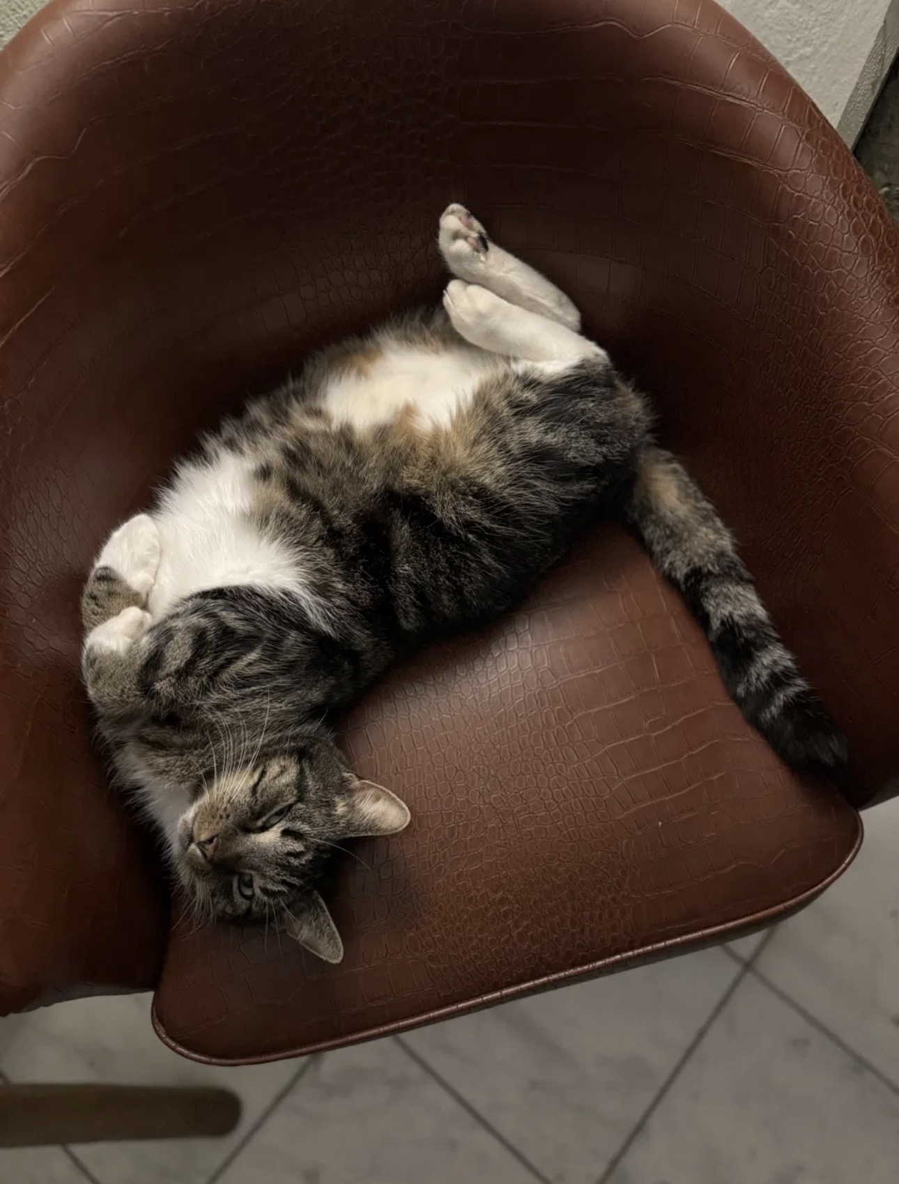 Lotti glücklich zuhause